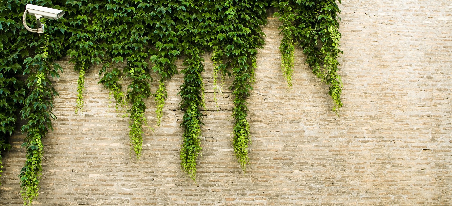 axis-header Systemintegration, IT-support, it tjänster skåne, hemsidor skåne, hemsidor malmö, hemsidor lund, webbyrå, webbsajt, nätverksinstallationer, servrar, remotex, axis, arbetsordersystem, it företag, molntjänster företag, microsoft, iperius, loopia, eset, dell återförsäljare, responsiva hemsidor, grafisk design, logotyp skåne, logotyp malmö, logotyp lund, google apps, hemsida företag